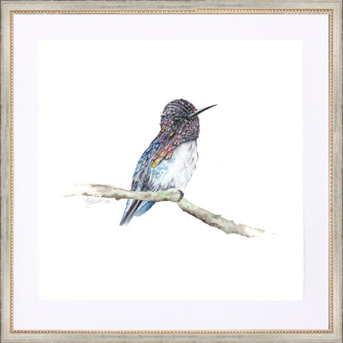 Hummingbird Art