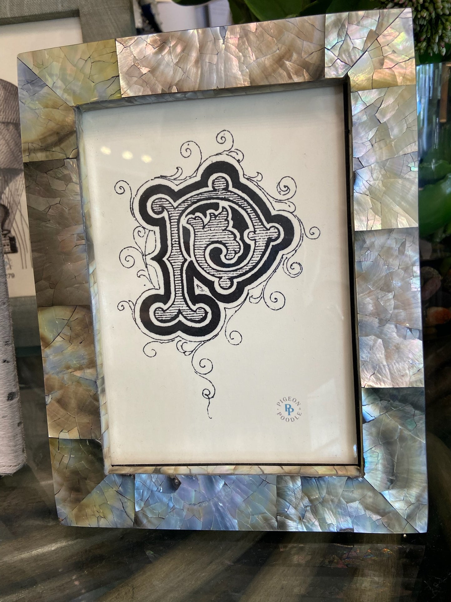 shell frame