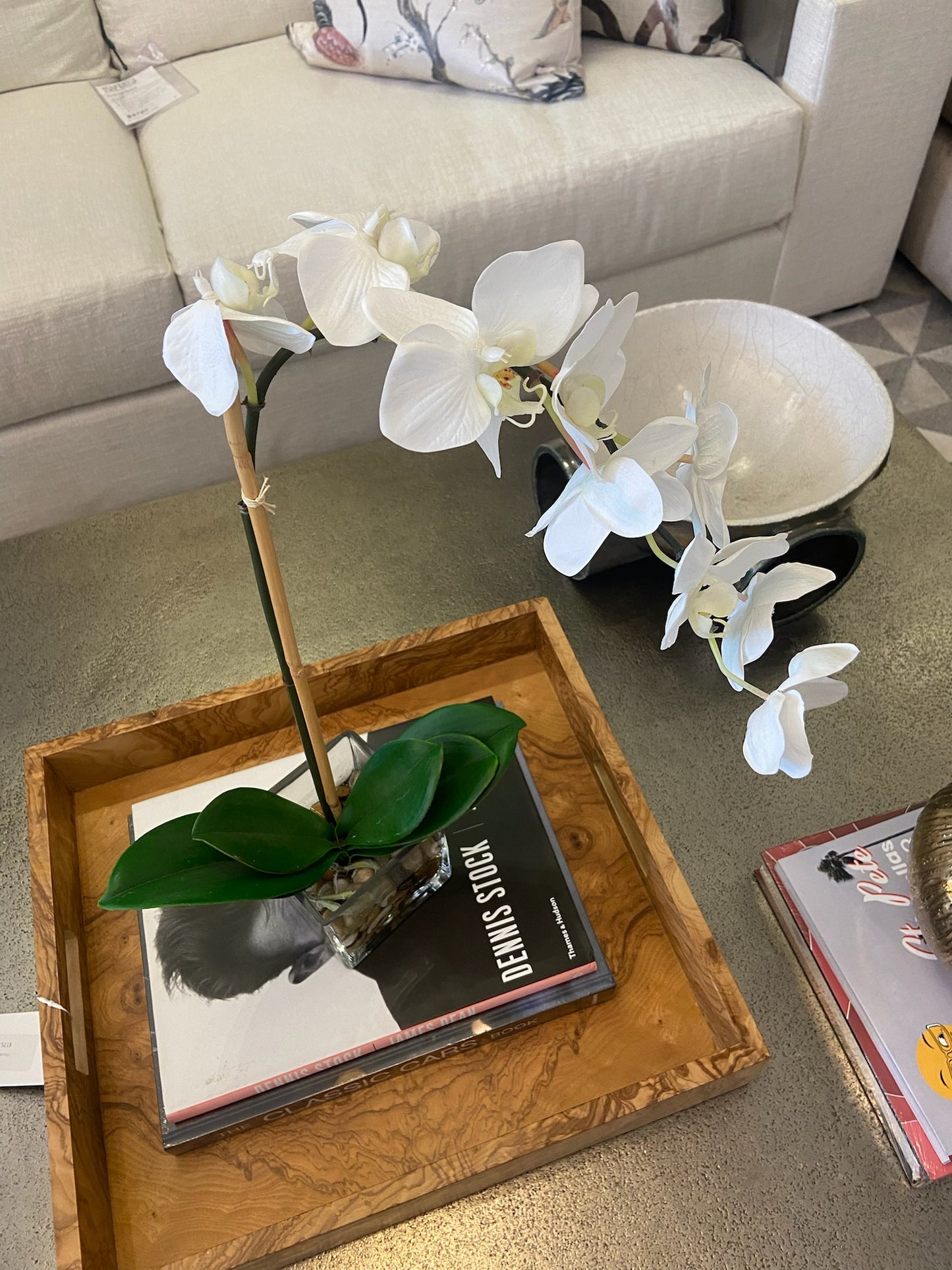 Lone Orchid