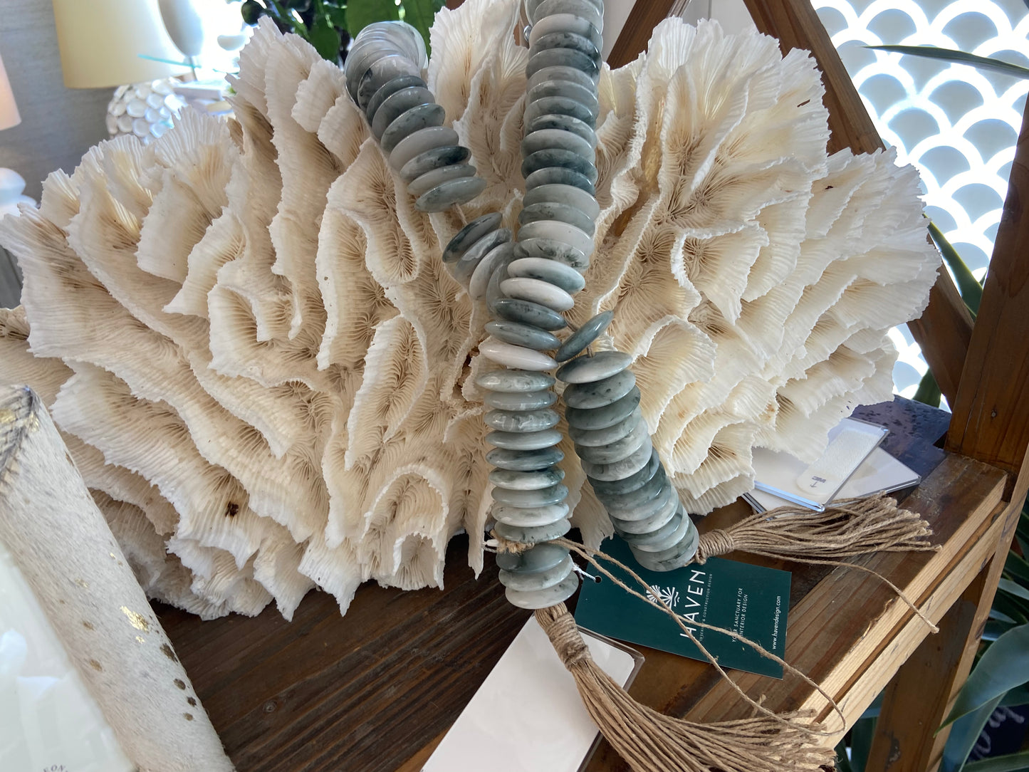 Natural Coral Fan