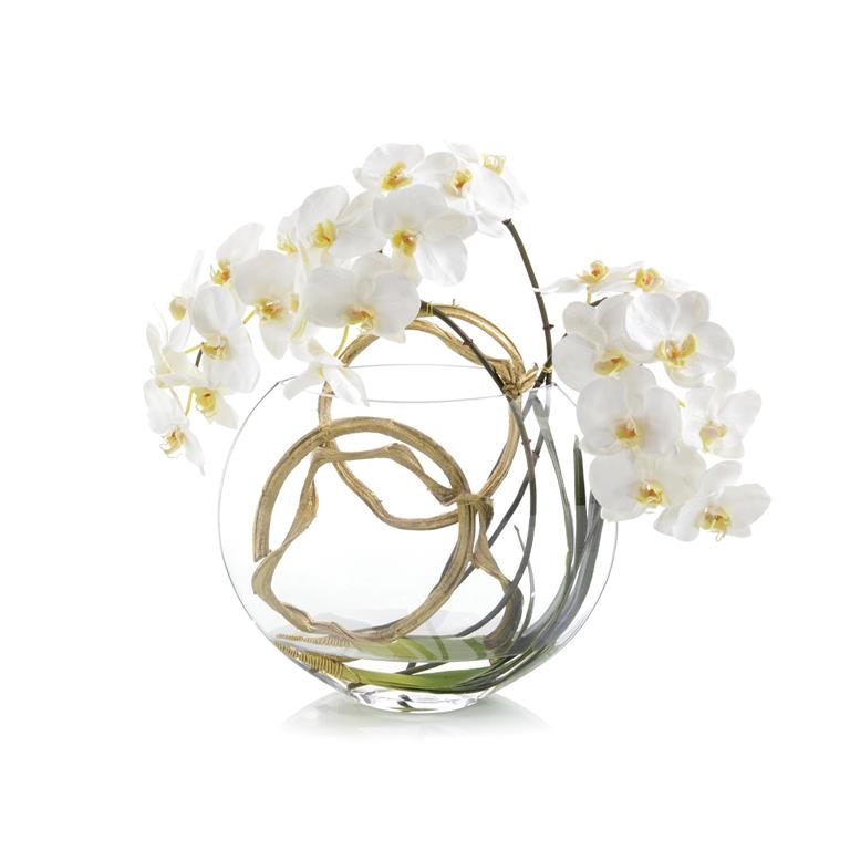 Half Moon Orchid-John Richards
