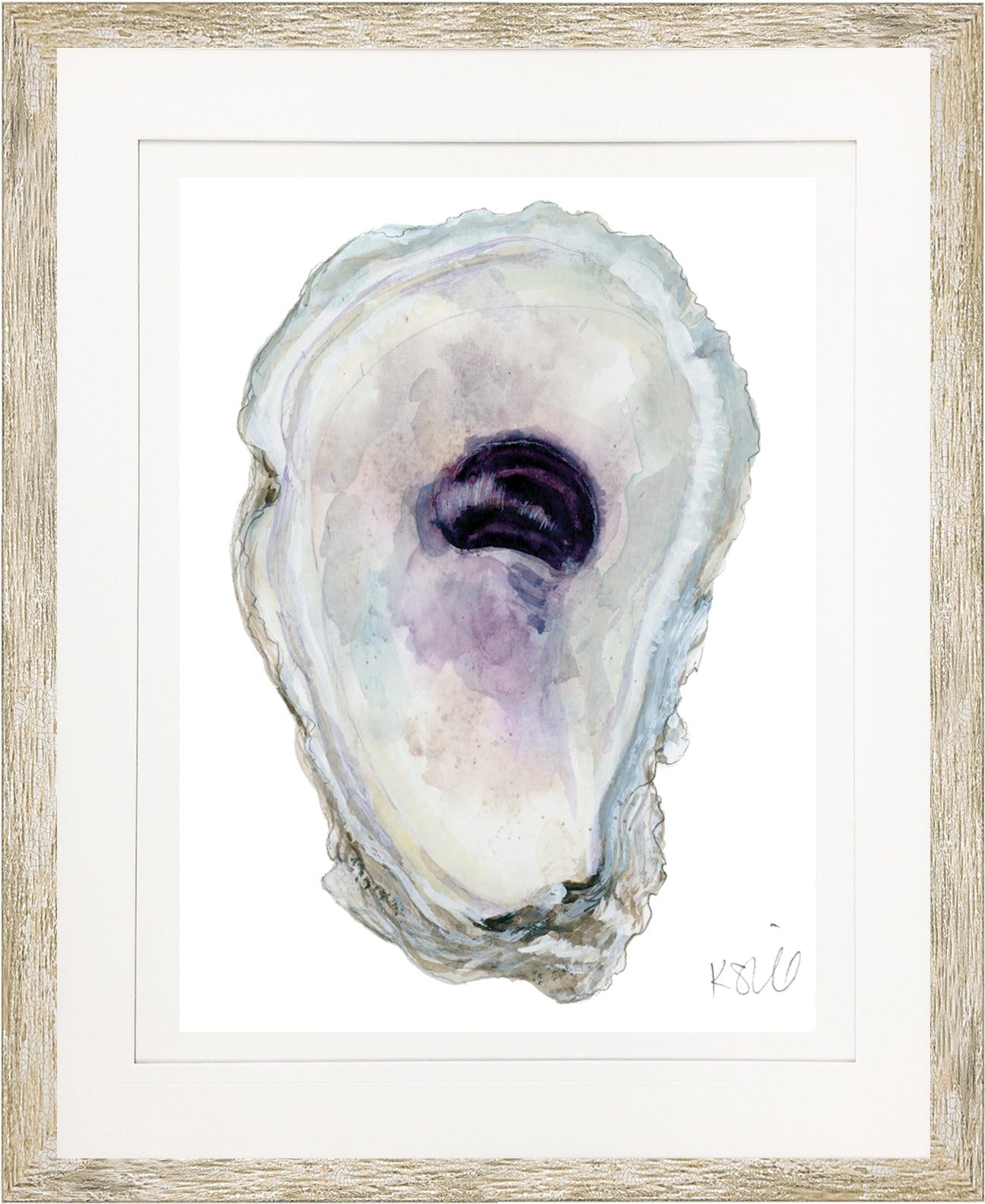 Oyster Shell 15