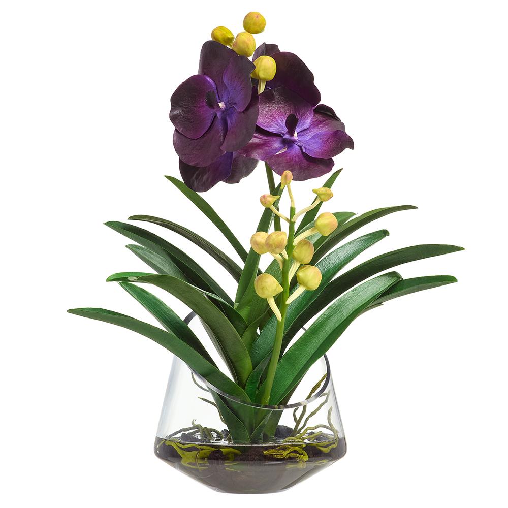 19" VANDA ORCHID IN GLASS VASE