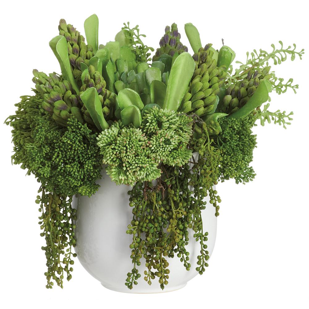 MIXED SUCCULENTS IN CREAM POT