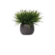Grass in Speckled Creme Pot