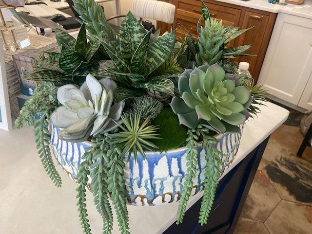 Custom Succulents