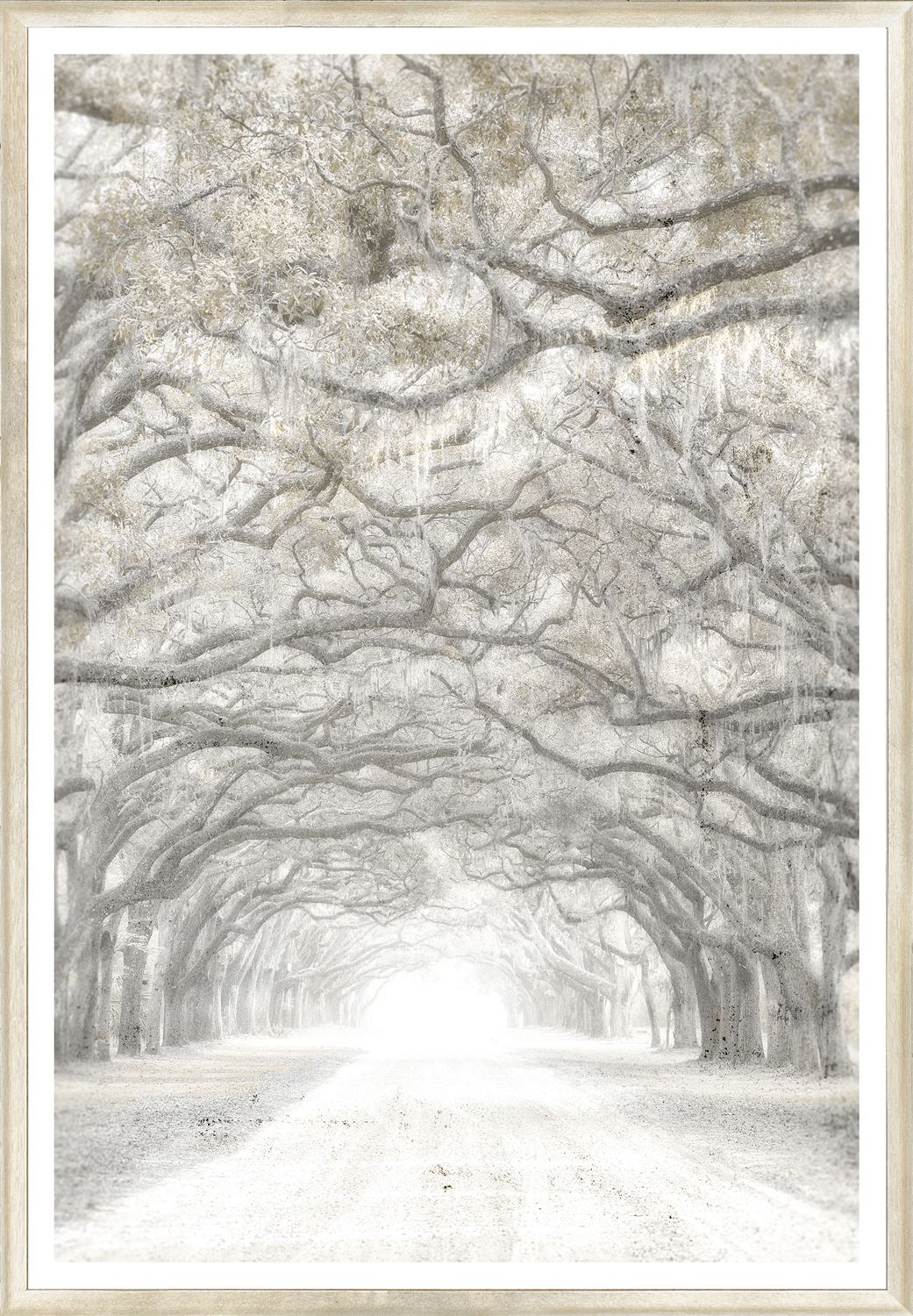 Arbor Mirage