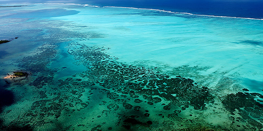 Tropical Shoreline