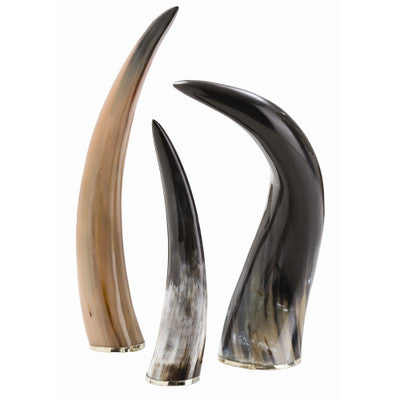 Horns, Set of 3