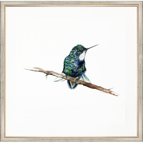 Hummingbird Art