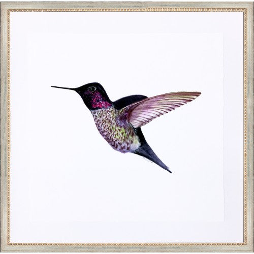 Hummingbird Art
