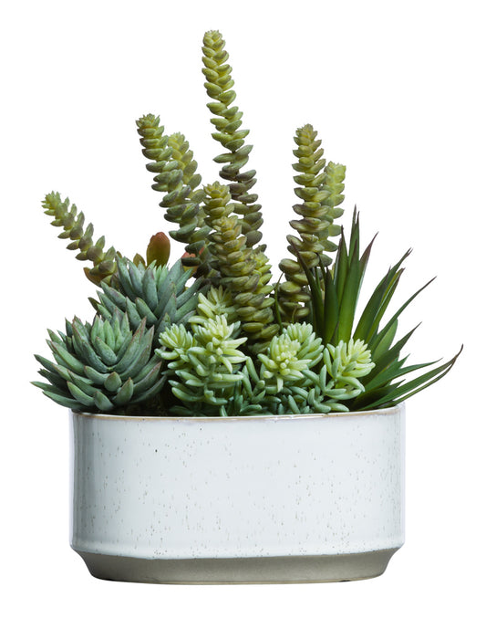Mixed Succulent Bouquet