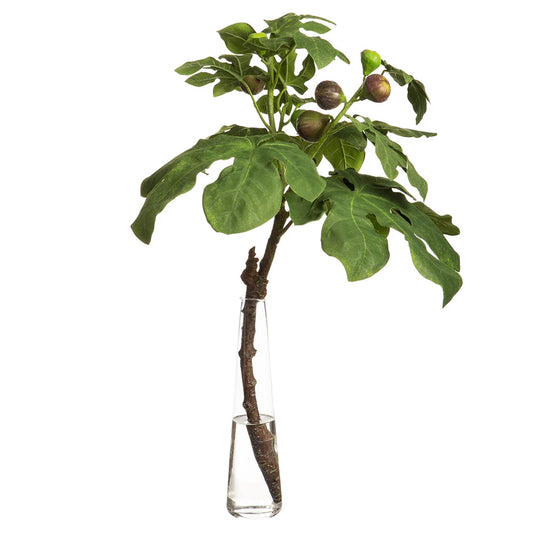 Artificial Fig Branch with Glass Vase -  WF9525-GR/BU