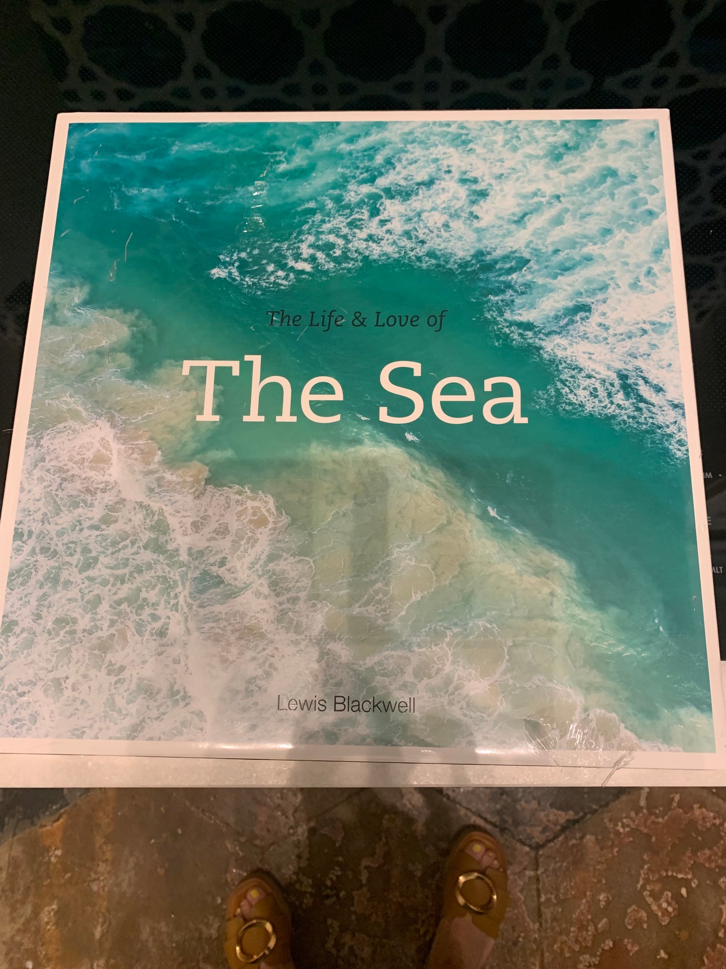 Life and Love of the Sea