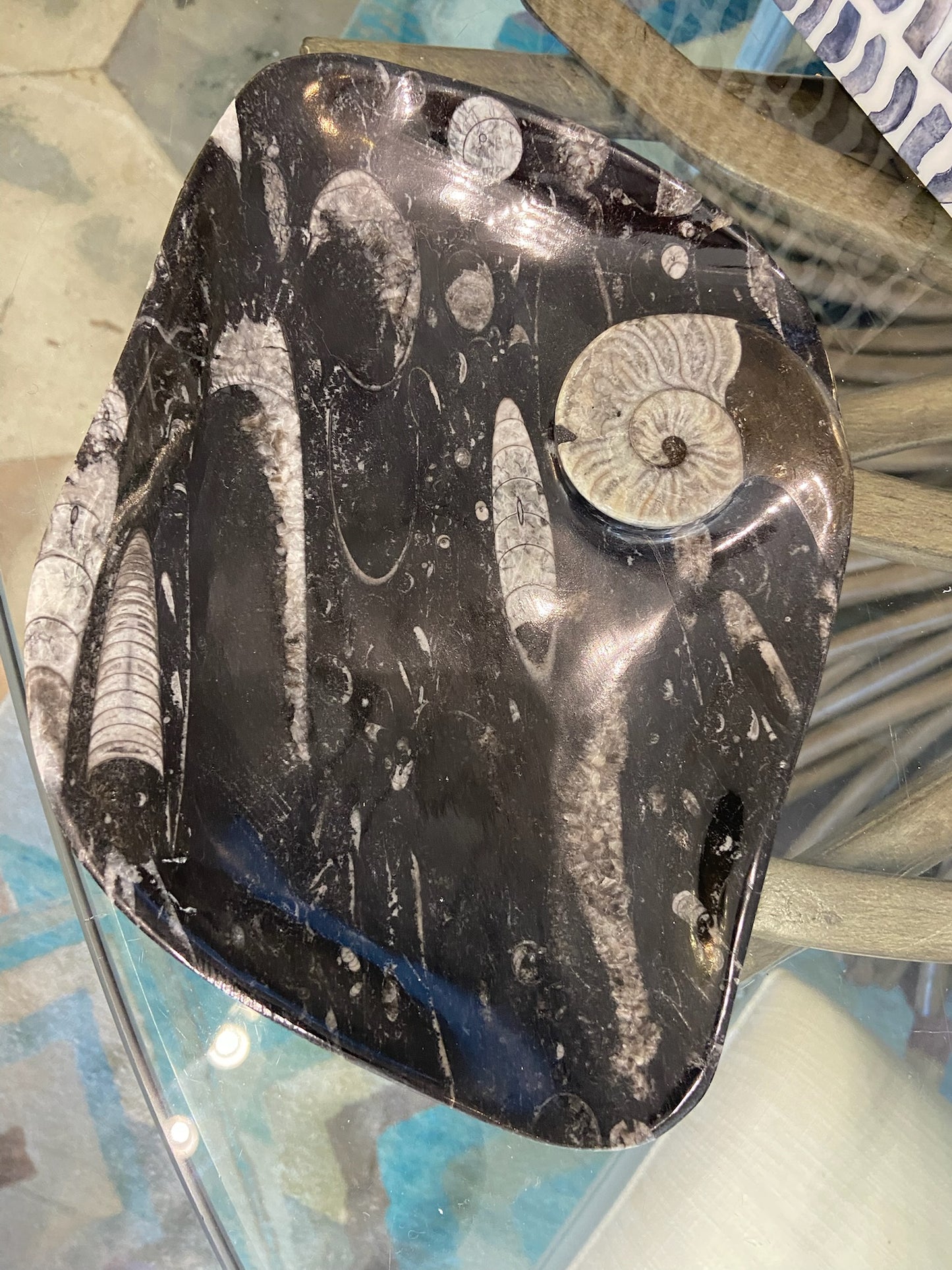 Fossile Tray Small