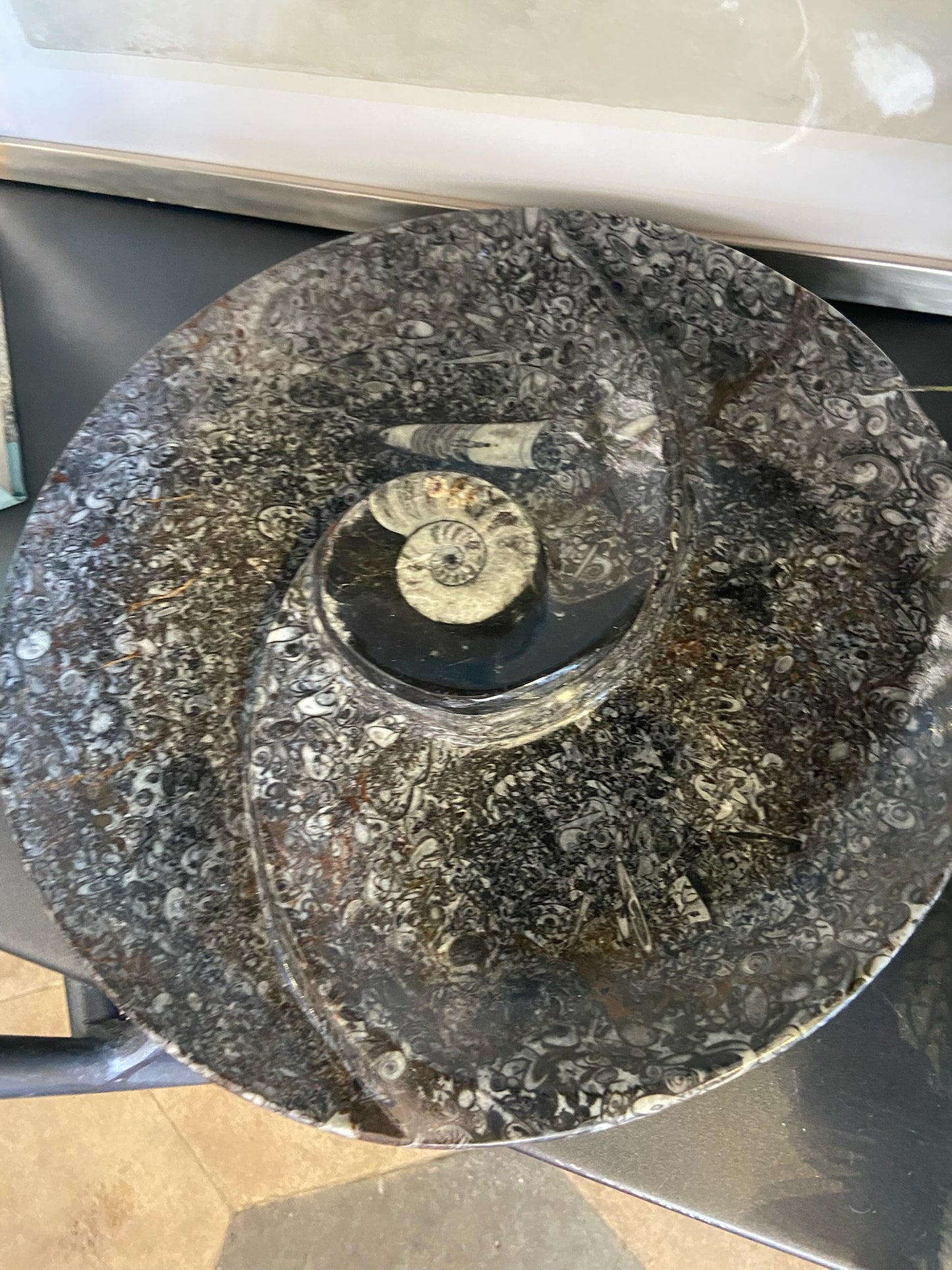 Fossil Tray Lg