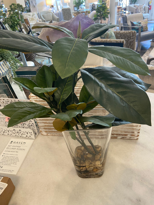 MAGNOLIA FOLIAGE