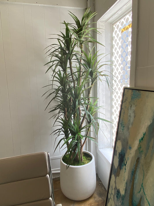 8.5" YUCCA TREE
