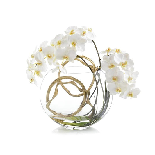 Half Moon Orchid-John Richards