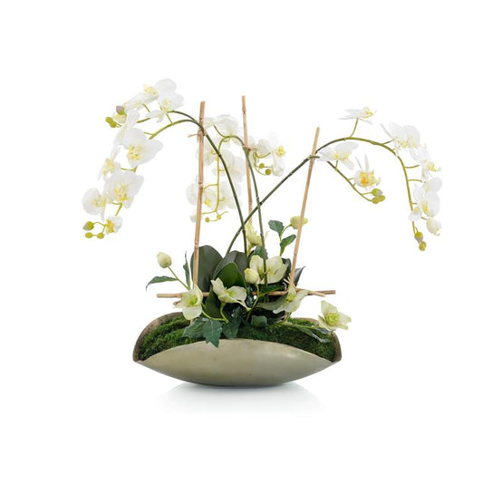 Bamboo Orchid Garden
