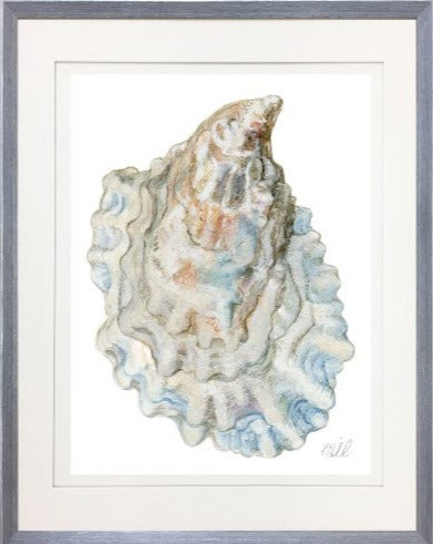 Oyster Shell 12