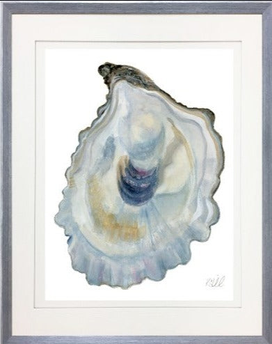 Oyster Shell 13