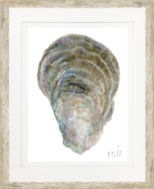 Oyster Shell 14