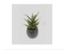 Succulent in White Remo Pot