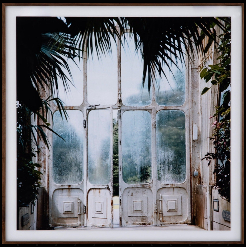 Refuge of Glass
