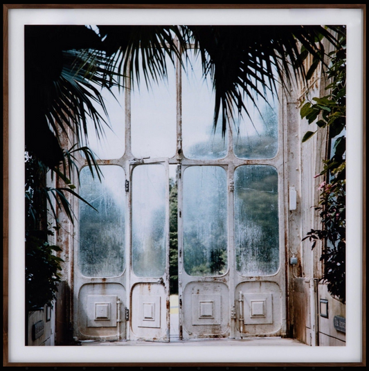 Refuge of Glass