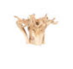 Hutson Teak Root Dining Table Base