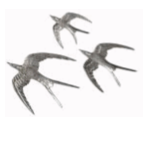 Nickel Birds in Flight