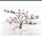 Ice Crystal Magnolia