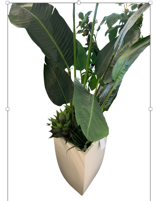Plant + Vase