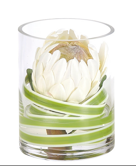 Protea in Glass
