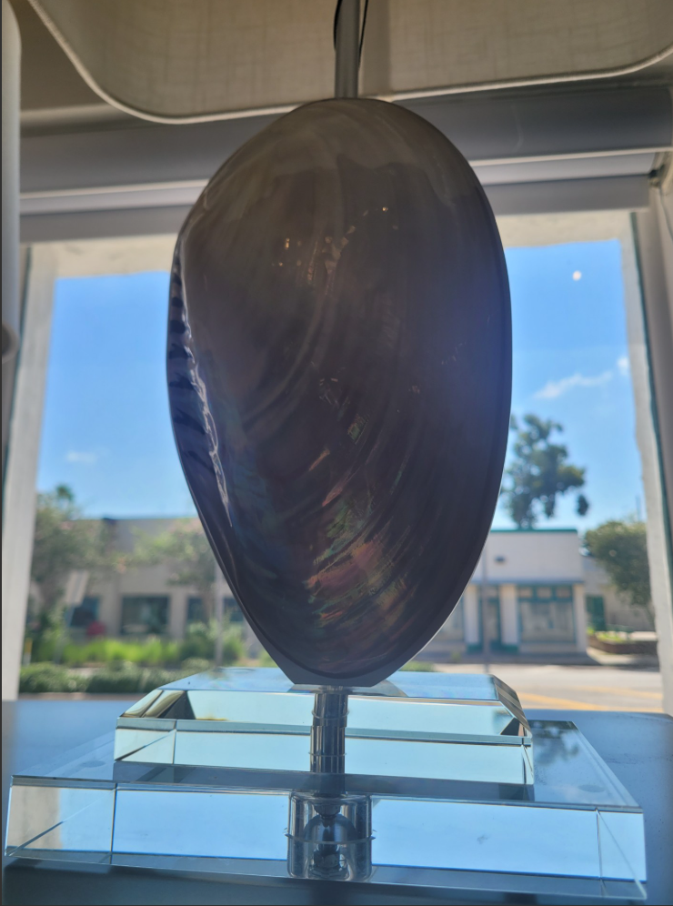 Shell Clam Lamp