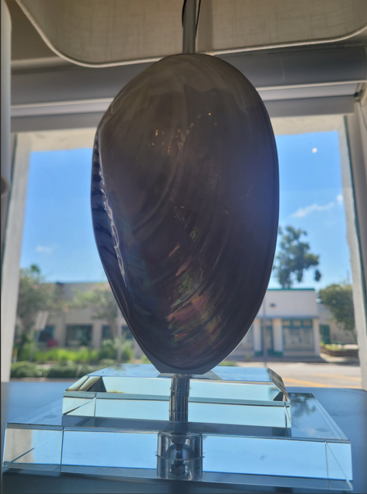 Shell Clam Lamp