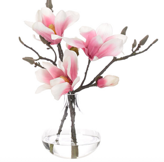 Magnolia