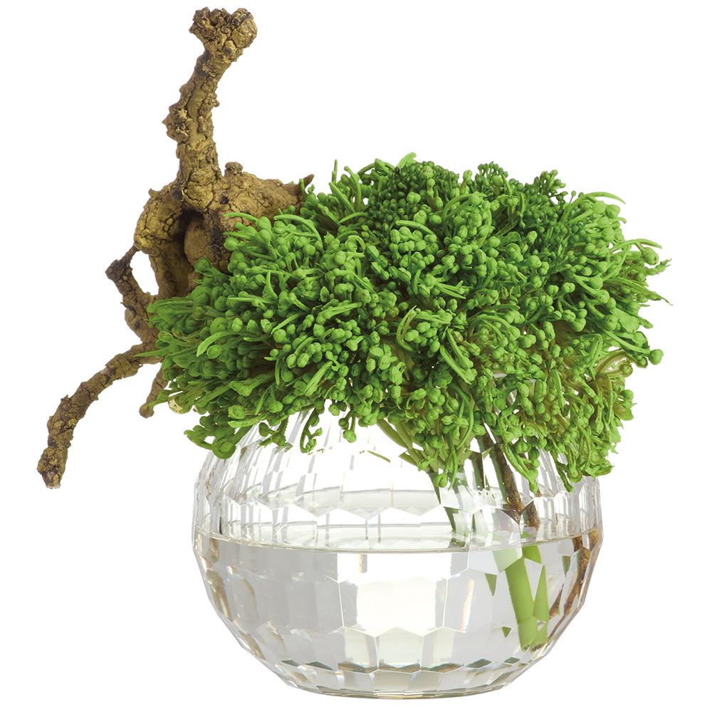Sedum/Driftwood&nbsp;