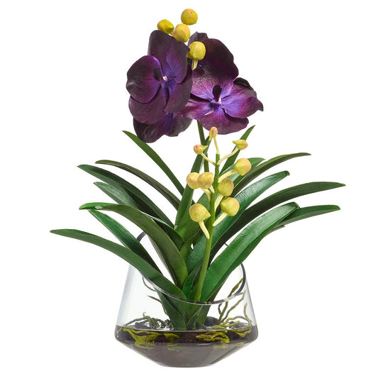 19" VANDA ORCHID IN GLASS VASE