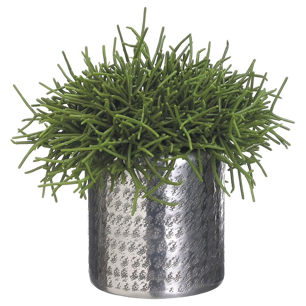 Pencil Cactus In Aluminum