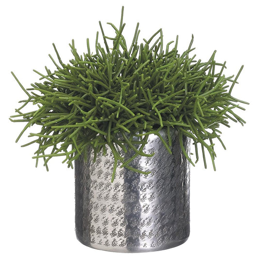 Pencil Cactus In Aluminum
