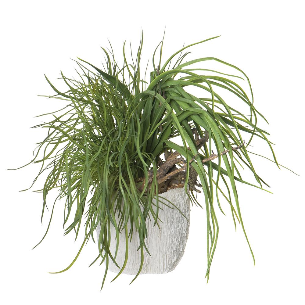 Mixed Grass/Driftwood in Coral Vase