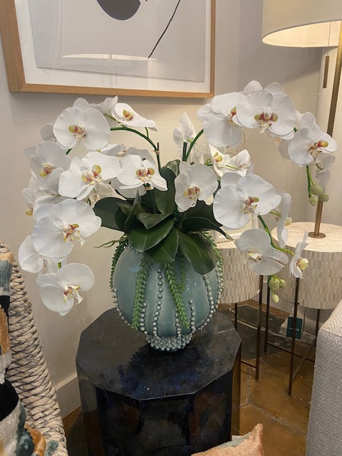 Custom Orchid