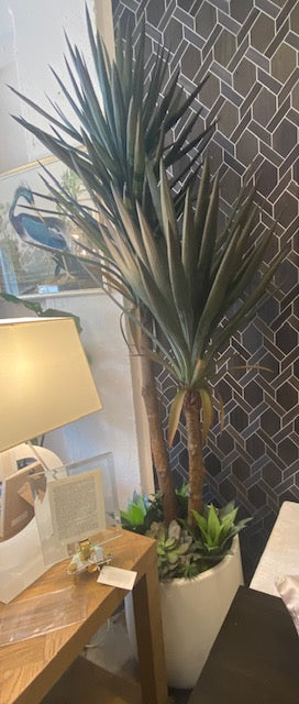 LG Yucca w/ garden