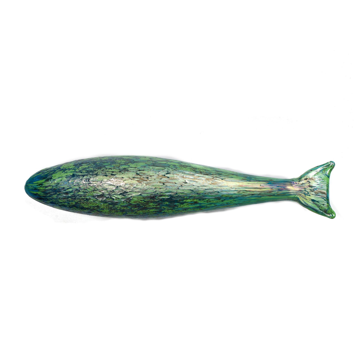 Glass Fish
