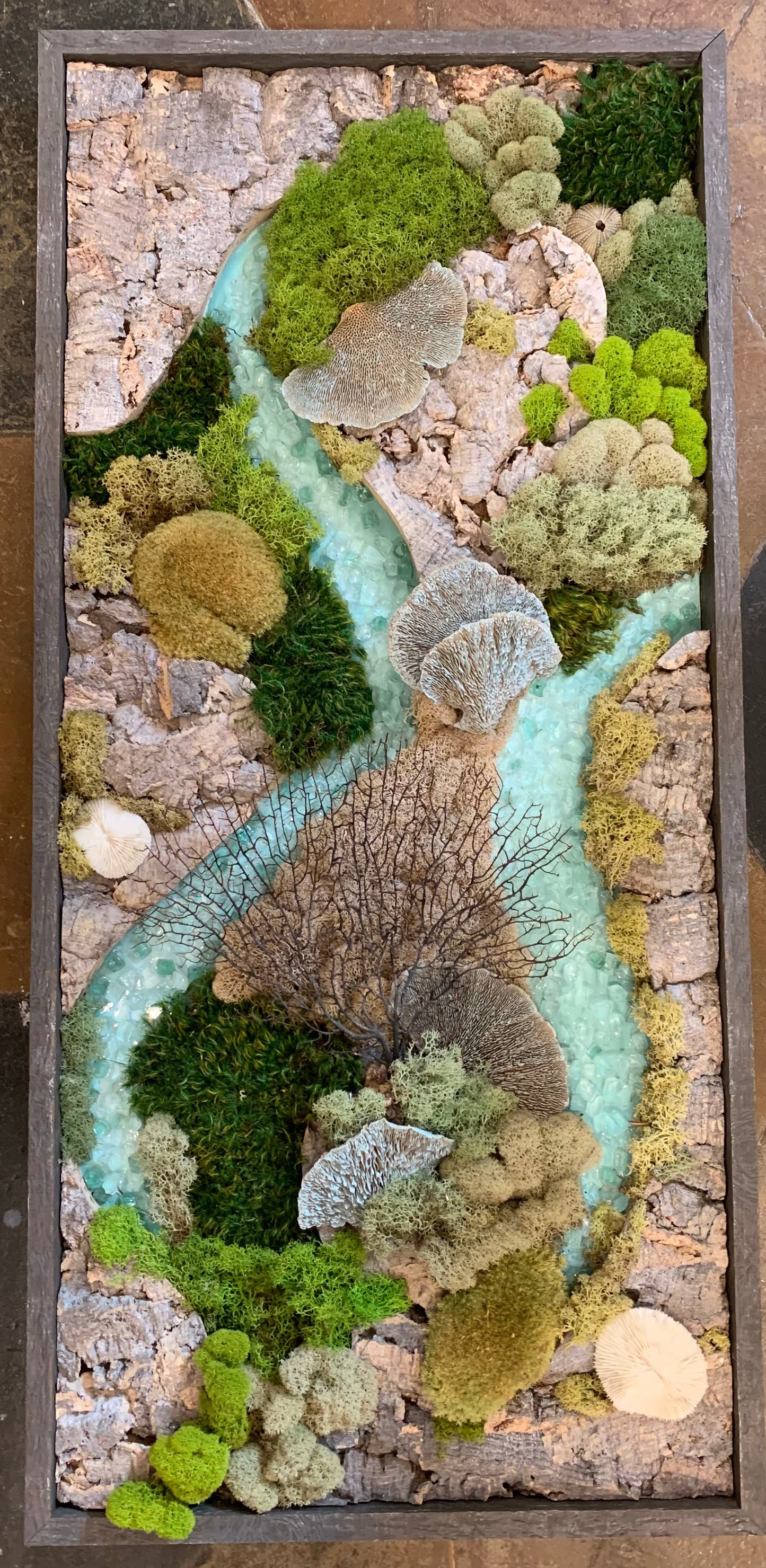 Nini's Reef