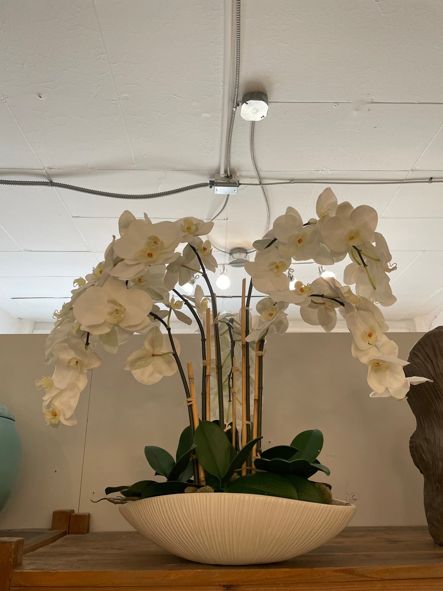 Floating Orchid