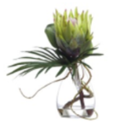 King Protea