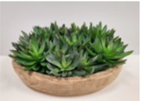 Succulent Centerpiece